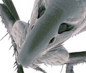 tkf001_406961