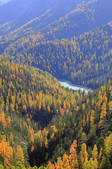 tkf001_753036
