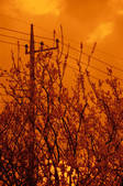 tkf001_755207