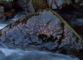 tkf001_755478