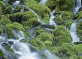 tkf001_755511
