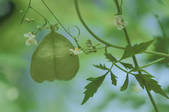 tkf001_755698