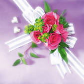 tkf001_773015