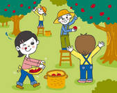 tkf001_782520