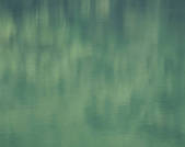 tkf001_789034