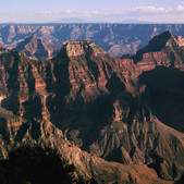 tkf001_789586