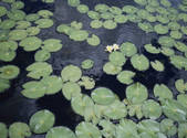 tkf001_790009