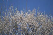 tkf001_790375