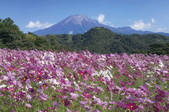 tkf001_792380
