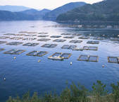 tkf001_792792
