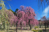 tkf001_793232