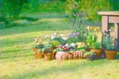 tkf001_796932