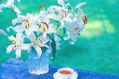 tkf001_796937