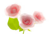 tkf001_797073