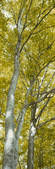 tkf001_797210
