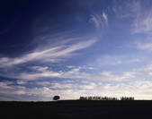 tkf001_797335