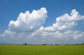 tkf001_797790