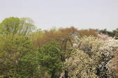 tkf001_797796