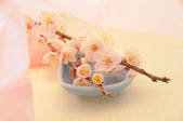 tkf001_797838