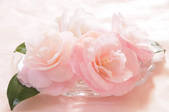 tkf001_797841