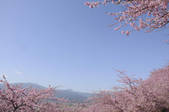 tkf001_797849