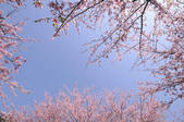 tkf001_797850
