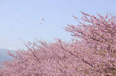 tkf001_797854