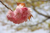 tkf001_797880