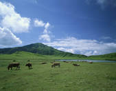 tkf001_797905