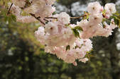 tkf001_797907