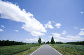 tkf001_798042