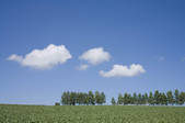 tkf001_798070