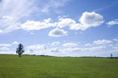 tkf001_798079