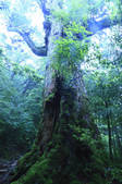 tkf001_798712