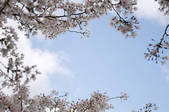 tkf001_798767