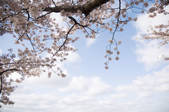 tkf001_800074