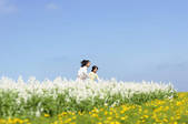 tkf001_800082