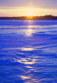 tkf001_801004