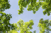 tkf001_801103