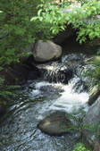 tkf001_801138