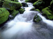 tkf001_805147