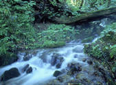 tkf001_805252