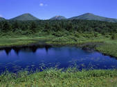 tkf001_805280