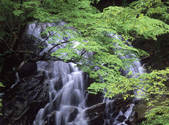 tkf001_805287