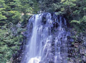 tkf001_805298