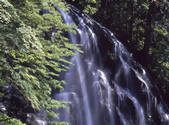 tkf001_805315