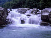 tkf001_805322