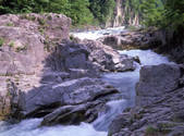 tkf001_805334