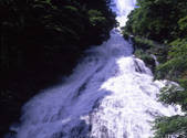 tkf001_805340