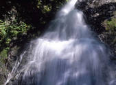 tkf001_805349